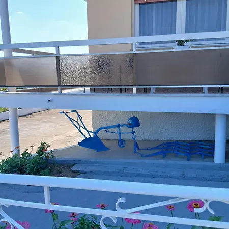 Chrysafenia's House